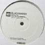 OCTAVE ONE FEAT. ANN SAUNDERSON / オクターヴ・ワン・フィート・アン・サンダーソン / Black Water(Limited Edition)