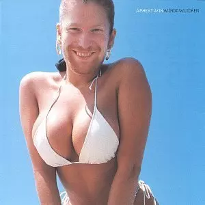 APHEX TWIN / エイフェックス・ツイン / WINDOW LICKER