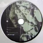 DECEPTIKON / Lost Subject