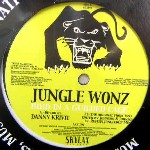 JUNGLE WONZ / Bird In A Guilded Cage (Danny Krivit Re-Edit)