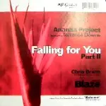 ANANDA PROJECT / アナンダ・プロジェクト / Falling For You Part 2 Blaze Remixes