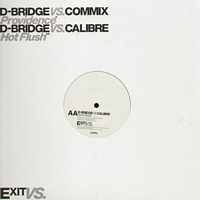 D-BRIDGE VS COMMIX/D-BRIDGE VS CALIBRE / Providence / Hot Flush