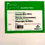 FERTILE GROUND / ファータイル・グラウンド / Another Day