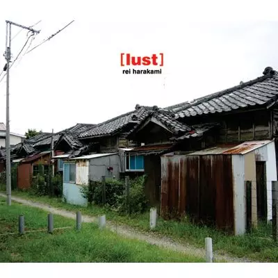 rei harakami / レイ・ハラカミ / Lust