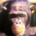 ROB MELLO / Crirical