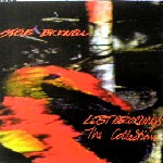 STEVE BICKNELL / Lost Recordings