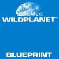 WILD PLANETS / Blueprint