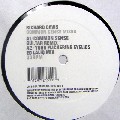 RICHARD DAVIS / リチャード・デイヴィス / Common Sense Mixes