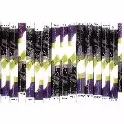 BURNT FRIEDMAN & JAKI LIEBEZEIT / バーント・フリードマン・アンド・ヤキ・リーベツァイト / Secret Rhythms 2