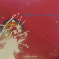 V.A.(ADAM KROLL,NATHAN FAKE,JESSE SOMFAY...) / Elektronische Musik - Interkontinental 5