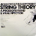 JIM MASTERS & PHIL BARRY PRESENT STRING THEORY / Pieces Of My Mind