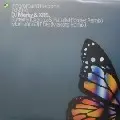 DJ MARKY & XRS / DJマーキー&XRS / Butterfly(Craggz & Parallel Forces Remix)