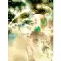 高木正勝 / Bloomy Girls