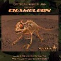 OPTICAL & ED RUSH / Chameleon