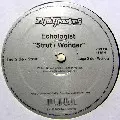 ECHOLOGIST(BEAT PHARMACY) / エコロジスト / Strut/Wonder