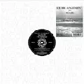 STUDIO APARTMENT FEAT.BLAZE / Rising Sun