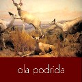 OLA PODRIDA / Ola Podrida