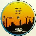 LIL' MARK / What?
