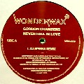GORDON CHAMBERS / ゴードン・チェンバース / Never Fall In Love(DJ Spinna Remix)