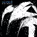 FORCE OF NATURE / フォース・オブ・ネイチャー / Force Behind The Power