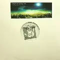 RENNIE FOSTER / レニー・フォスター / Falling Skyward