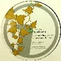 SOULMATIC / Come Closer/Give Yourself Peace