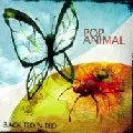 BACK TED N TED / Pop Animal