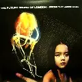 FUTURE SOUND OF LONDON / フューチャー・サウンド・オブ・ロンドン / From The Archives