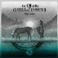 KENJI TAKIMI / 瀧見憲司 / DJ At The Gates Of Dawn 2