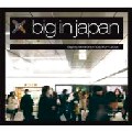 V.A. (COMPILED BY HIROSHI WATANABE) / Big In Japan