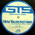 GTS FEAT. MELODIE SEXTON / Now You're Not Here