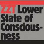 ZZT (ZOMBIE NATION & TIGA) / Lower State Of Consciousness