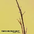 V.A.(KUMIKO NABESHIMA,LTJ X-PERIENCE,STUDIO APARTMENT...) / Tokyo Melting Light: Autumn-winter