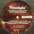 TERRY HUNTER / Wonderful(Kenny Dope Remixes)