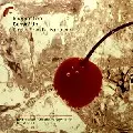 IMAGINATION / イマジネーション / Burnin' Up(Dimitri From Paris Remixes)