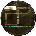 TERRENCE DIXON / テレンス・ディクソン / Directions EP