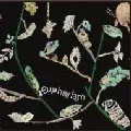 KAZUMASA HASHIMOTO / カズマサハシモト / Euphoriam