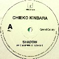 CHIEKO KINBARA / 金原千恵子 / Shadow