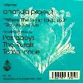ANANDA PROJECT / アナンダ・プロジェクト / Where The Music Takes You