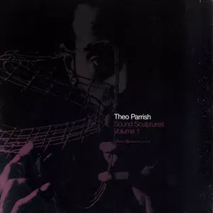 セオパリッシュ Sound Signature レコード 2枚組 Theo Parrish - Weirdo | NEWTONE RECORDS