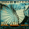 QUENTIN HARRIS FEAT.MARGARET GRACE / My Joy