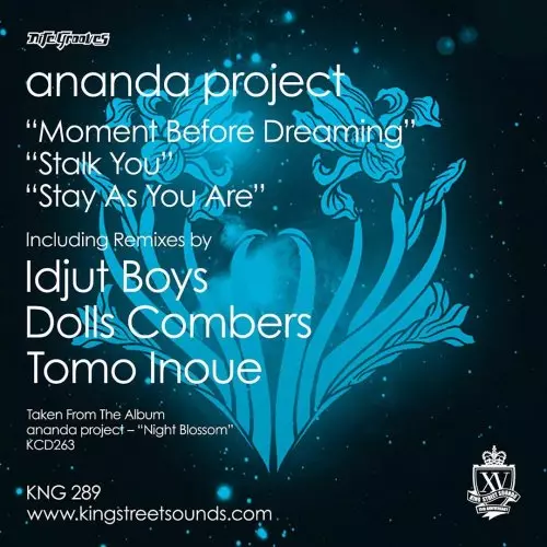 ANANDA PROJECT / アナンダ・プロジェクト / Moment Before Dreaming