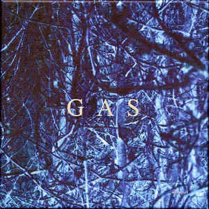 GAS 『NAH und FERN』 2枚組レコード Nah Und Fern/GAS (WOLFGANG VOIGT)｜CLUB/DANCE｜ディスク