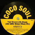 TORTURED SOUL / トーチャード・ソウル / Your Dream Is My Dream (Jon Cutler Remix)