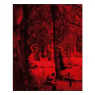 WOLFGANG VOIGT / ウォルフガング・フォークト / GAS