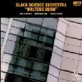 BLACK SCIENCE ORCHESTRA / Walters Room
