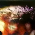 DAMIAN SCHWARTZ / Party Lovers
