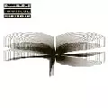 RONI SIZE / ロニ・サイズ / Through The Eyes Presented By Roni Size