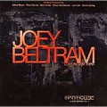 JOEY BELTRAM / ジョーイ・ベルトラム / Lost In New York