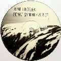 RUNE LINDBAEK / Borat Synthesizer EP